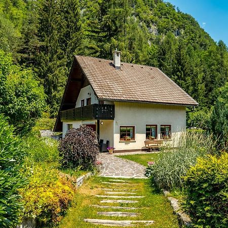 Hisa Nasproti Sonca Villa Kranjska Gora Dış mekan fotoğraf